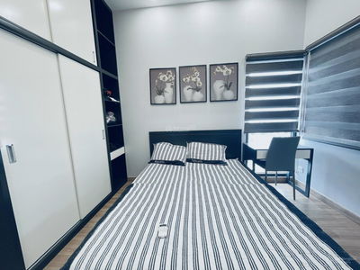 Topaz Twins, Vietnam Topaz Twins, Vietnam