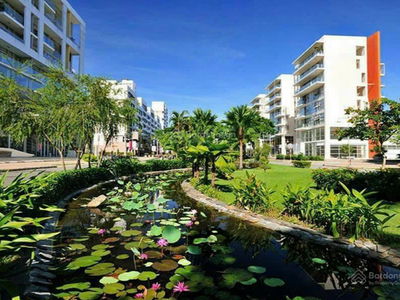 The Panorama The Panorama