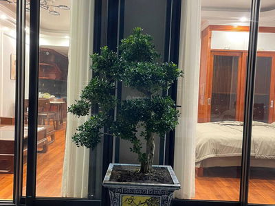 Hilton Hai Phong, Vietnam Hilton Hai Phong, Vietnam