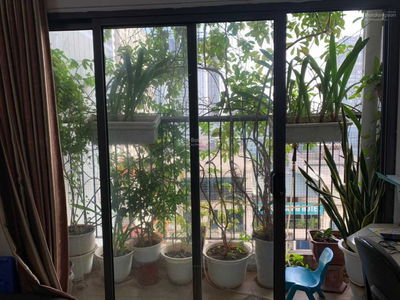 Golden West, Vietnam Golden West, Vietnam