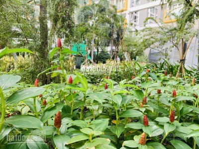 Satra Building - Eximland, Vietnam Satra Building - Eximland, Vietnam