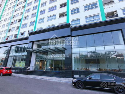 Citizen Trung Son, Vietnam Citizen Trung Son, Vietnam