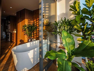 131/10, Vietnam 131/10, Vietnam