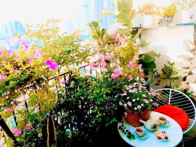 Building, Vietnam  Building, Vietnam