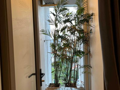 Hausneo Apartment, Vietnam Hausneo Apartment, Vietnam