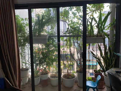 Golden West, Vietnam Golden West, Vietnam