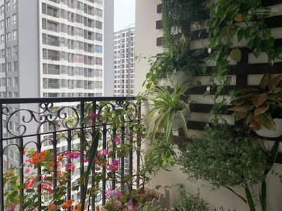 Sunshine Garden, Vietnam Sunshine Garden, Vietnam