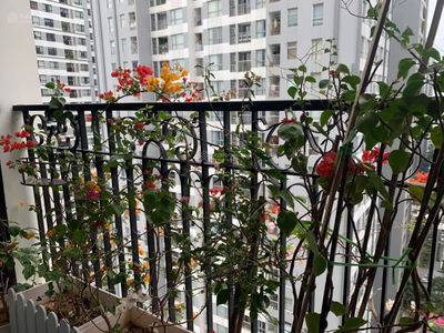 Sunshine Garden, Vietnam Sunshine Garden, Vietnam