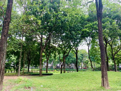 Celadon City, Vietnam Celadon City, Vietnam