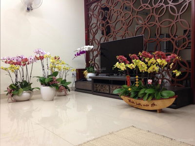 Him Lam Kenh Te, Vietnam Him Lam Kenh Te, Vietnam