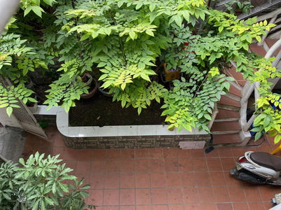 Le Duan Street, Vietnam  Le Duan Street, Vietnam