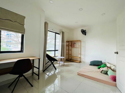 Camellia Garden, Vietnam Camellia Garden, Vietnam