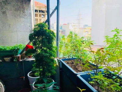 723, Vietnam  723, Vietnam