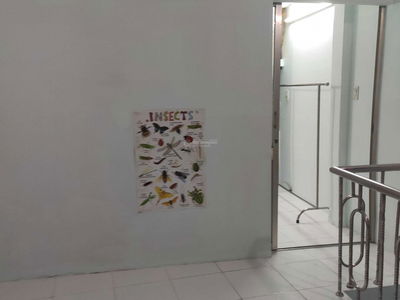 Alley 184, Vietnam Alley 184, Vietnam