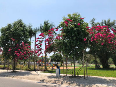 Detaco Nhon Trach, Vietnam  Detaco Nhon Trach, Vietnam