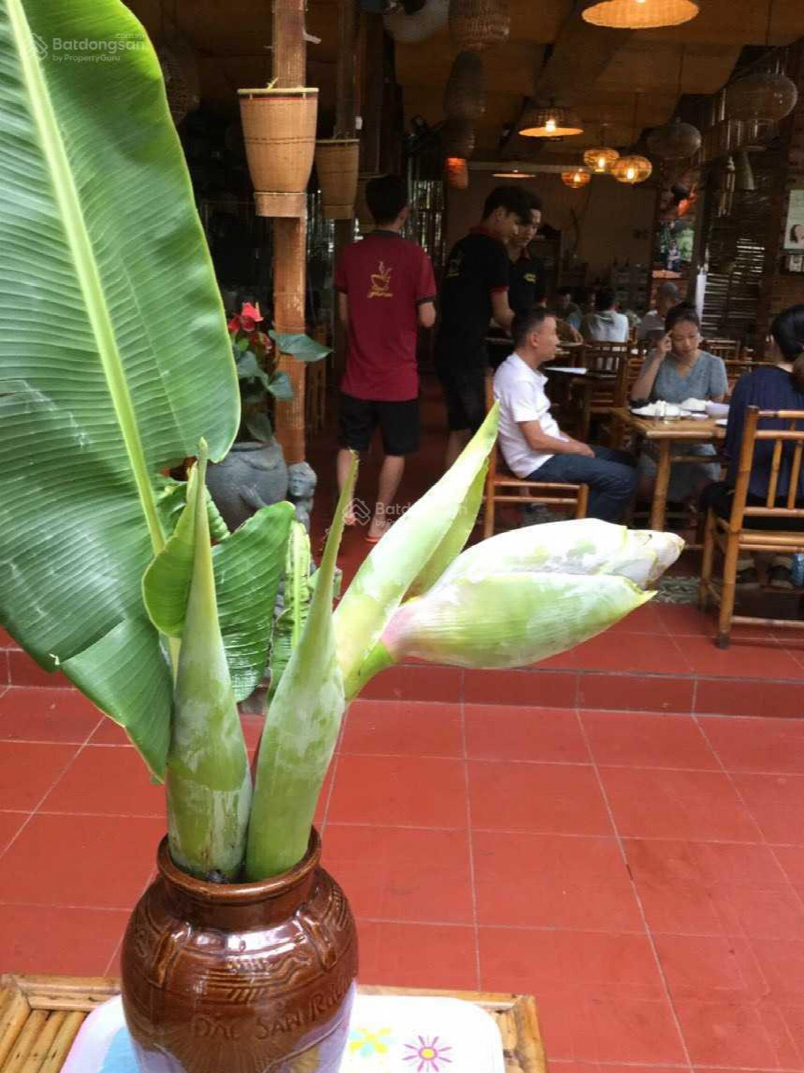 Binh Trung Tay Ward, Vietnam Binh Trung Tay Ward, Vietnam