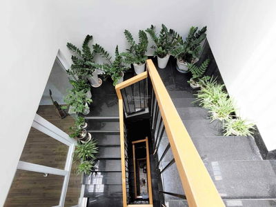 Him Lam Hung Vuong, Vietnam Him Lam Hung Vuong, Vietnam