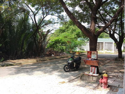 713/19, Vietnam 713/19, Vietnam