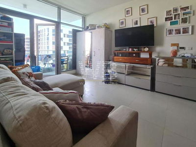 Acacia, United Arab Emirates  Acacia, United Arab Emirates