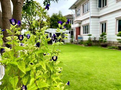 Thu Duc Garden Homes, Vietnam Thu Duc Garden Homes, Vietnam