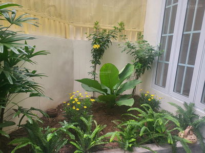 Lane 236, Vietnam Lane 236, Vietnam