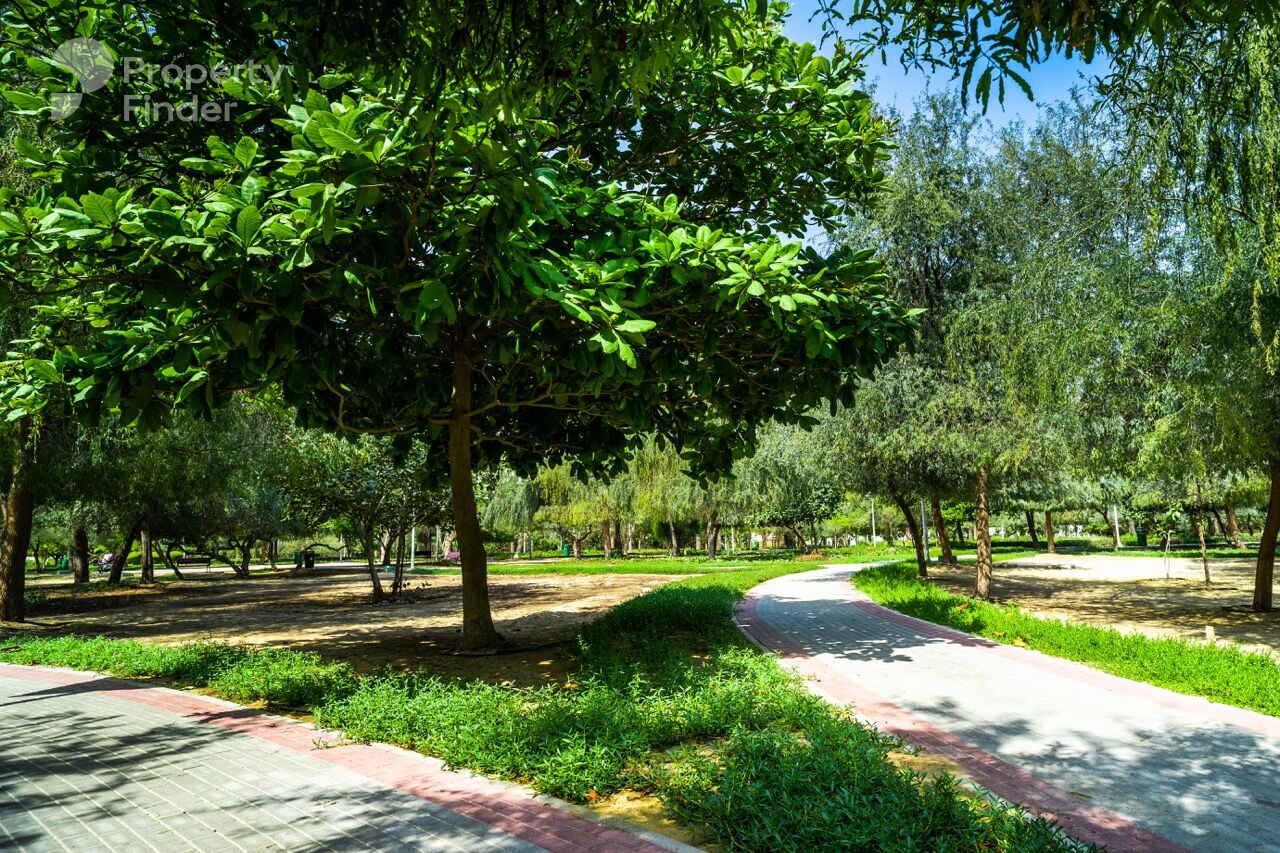 Rigel, United Arab Emirates Rigel, United Arab Emirates