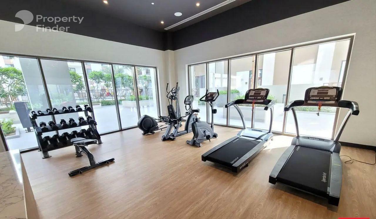 Summer, United Arab Emirates Summer, United Arab Emirates