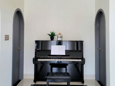 Nguyen Dinh Hoan Street, Vietnam Nguyen Dinh Hoan Street, Vietnam