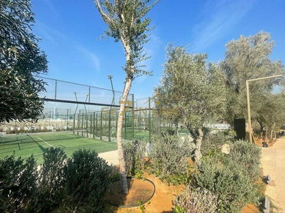 MAG Eye, United Arab Emirates  MAG Eye, United Arab Emirates