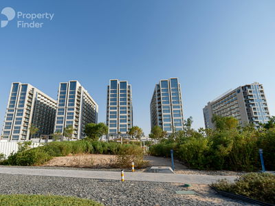 Janusia, United Arab Emirates  Janusia, United Arab Emirates