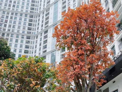 The Emerald, Vietnam The Emerald, Vietnam