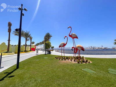 Mohamed Bin Zayed Centre