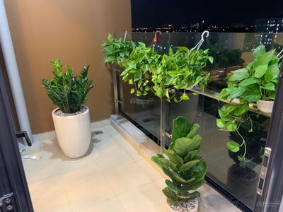 Mizuki Park, Vietnam Mizuki Park, Vietnam