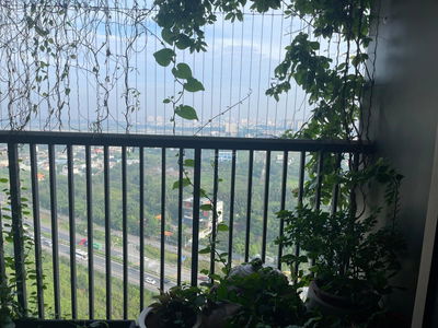 Jamila Khang Dien, Vietnam Jamila Khang Dien, Vietnam