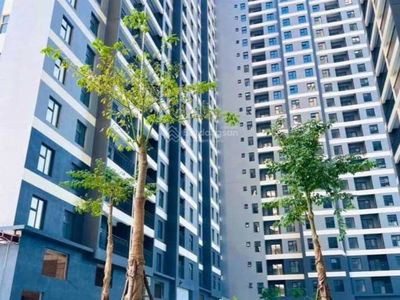 Hanhomes Blue Star, Vietnam Hanhomes Blue Star, Vietnam