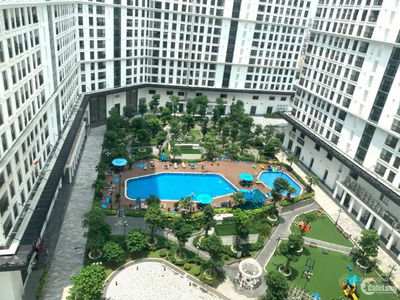 Iris Garden, Vietnam Iris Garden, Vietnam