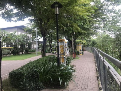 Flora Cherry, Vietnam Flora Cherry, Vietnam