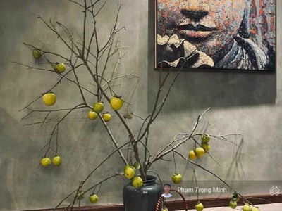 Sudico My Dinh, Vietnam Sudico My Dinh, Vietnam