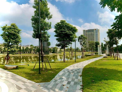 Moonlight 1, Vietnam Moonlight 1, Vietnam