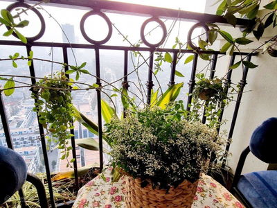 Roman Plaza, Vietnam Roman Plaza, Vietnam