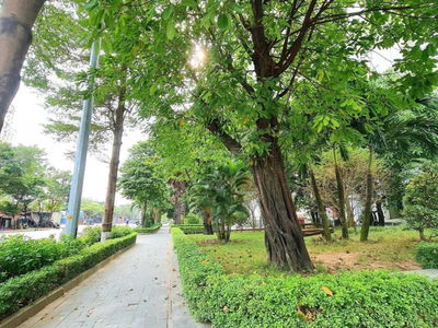 Tecco Garden, Vietnam Tecco Garden, Vietnam