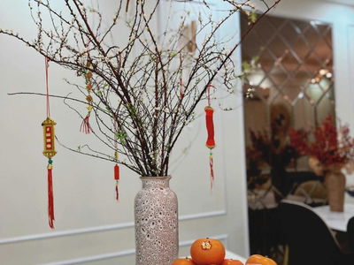 Topaz Twins, Vietnam  Topaz Twins, Vietnam