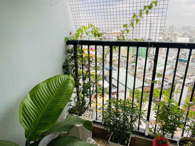 Fortuna - Jasmine Garden, Vietnam Fortuna - Jasmine Garden, Vietnam