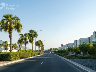Centaury, United Arab Emirates  Centaury, United Arab Emirates