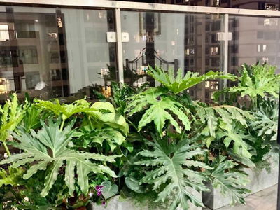 Trinity Tower, Vietnam Trinity Tower, Vietnam