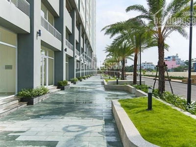 Washed Garden, Vietnam Washed Garden, Vietnam