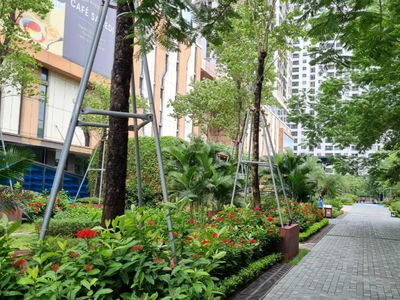 6th Element, Vietnam 6th Element, Vietnam