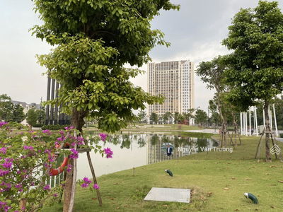 Moonlight 1, Vietnam Moonlight 1, Vietnam