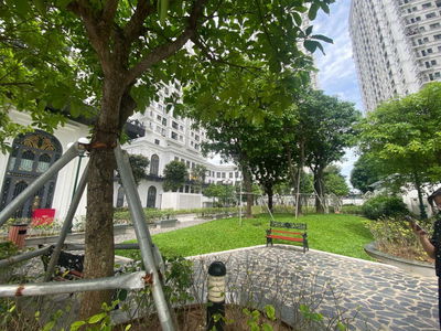 Iris Garden, Vietnam Iris Garden, Vietnam