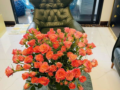 Eco Lake View, Vietnam Eco Lake View, Vietnam